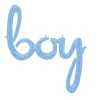 Ballonschriftzug "Boy" Pastell Blau