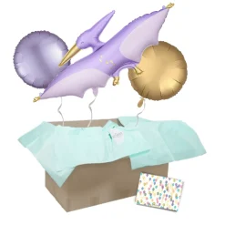 Heliumballon-Geschenk Pterodactyl