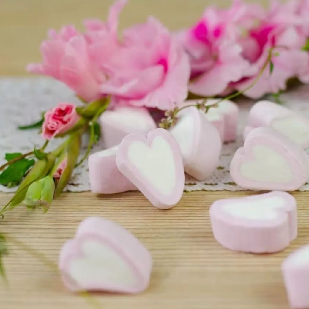 Zuckerbäcker Naschdose "Hab Dich Lieb"