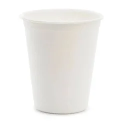 Zuckerrohr-Becher Creme 6 Stk.